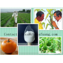 Produits chimiques agricoles Bactericide Germicide Fongicide agrochimique 81412-43-3 Tridemorph